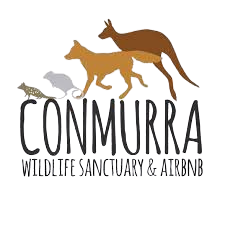 Logo of Conmurra Wildlife Sanctuary & Airbnb with illustrations of animals on a white background.